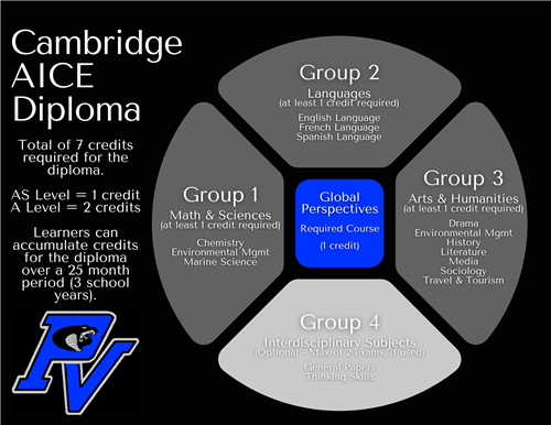 Visual Representation of the Groups Listed Aboce